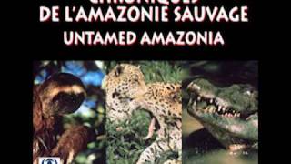 Untamed Amazonia [upl. by Clemence653]