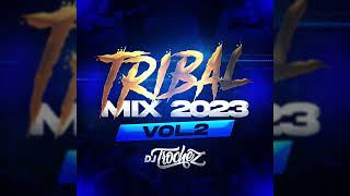 TRIBAL MIX 2023 VOL2  DJ TROCHEZ [upl. by Retsev]