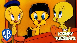 Looney Tuesdays  Top 10 Cutest Moments from Tweety Bird 🐥  Looney Tunes  WB Kids [upl. by Emiolhs]