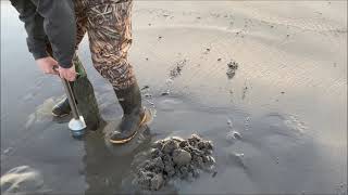 How to Razor clam in Long Beach Washington [upl. by Adnahsed]