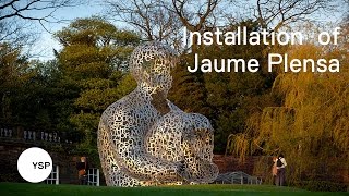 Installing the Jaume Plensa exhibition at YSP [upl. by Penoyer]