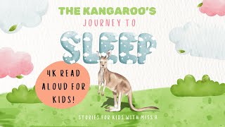 The Kangaroos Journey to Sleep  4K Read Aloud [upl. by Waylen]