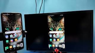 2 Ways for Screen Mirroring in TCL TV  TCL Android TV  Screencast [upl. by Kurt947]