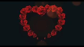 RED ROSE FLOWER BLOOM WITH HEART SHAPE  ROMANTIC LOVE MOTION BACKGROUND  COPYRIGHT FREE VIDEO [upl. by Burgwell373]