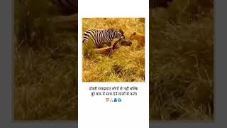 Dosti samjhdaro se nhi sath dene walo se honi chahiye trending dosti animals wildlife struggle [upl. by Ahker]