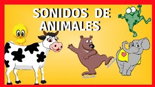 Sonidos de Animales para Niños de 1 a 5 AñosNUEVO [upl. by Shirlene]