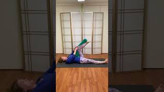 Osteoporosis Exercises Leg Stretches with Resistance Bands [upl. by Behlau310]