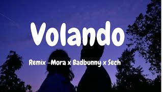 Volandoremixmora x Badbunny x sech Audio [upl. by Leuqar146]