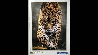 Puzzle Clementoni Walk of the Jaguar 1000 pieces [upl. by Anoyek]