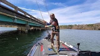 Chris Zaldain Bassmaster Classic Boat Traffic [upl. by Enidlarej492]