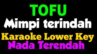 Tofu  Mimpi Terindah Karaoke Lower Key Nada Rendah [upl. by Cherry878]