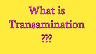 Transamination  Mechanism and examples of transamination [upl. by Nothgierc196]