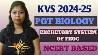 EXCRETORY SYSTEM OF FROG KVS PGT BIOLOGY  NCERT BOOKS  PGT BIOLOGY [upl. by Thorrlow]