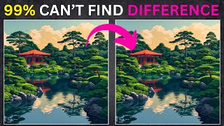 Find The Difference Puzzle Game Next Level Zen Garden Riddles pt 45 [upl. by Donnie]