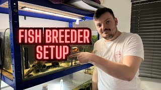 Insight Into Breeding Fish  DJAAquatics Breeder Tour [upl. by Yelnoc]