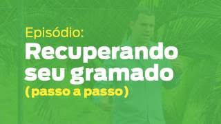 Como recuperar seu gramado em 9 passos [upl. by Nodnol179]