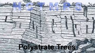 How Creationism Taught Me Real Science 04 Polystrate Trees [upl. by Aillicsirp]