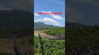 Gatlinburg SkyBridge [upl. by Akapol]