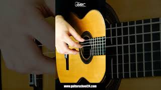 Master Alternate Stroke quotApoyandoquot Guitar Technique  StepbyStep Tutorial 🎸 [upl. by Lesig]