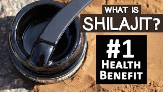 1 Health Benefit of Shilajit and Top 3 Uses [upl. by Lilybel]