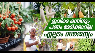 ഇവിടെ ഒന്നിനും ക്യാഷ് മേടിക്കാറില്ല എല്ലാം സൗജന്യം  free vegetables  free vegetable seeds [upl. by Merissa829]