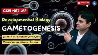 L10 Gametogenesis  Location of Germ Cells  Mitosis vs Meiosis Decision  Development I CSIR [upl. by Tremayne]