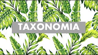 Taxonomía resumen rápido Reinos de la vida [upl. by Ilyk893]