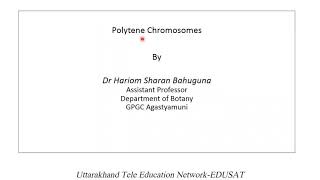 Polytene Chromosomes [upl. by Elurd]