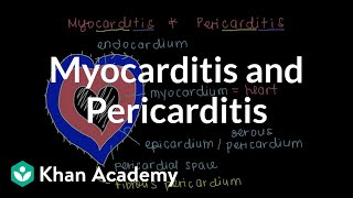 What is myocarditis and pericarditis  Circulatory System and Disease  NCLEXRN  Khan Academy [upl. by Llenrev146]