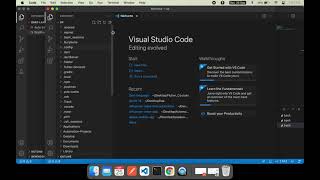 RunOpen VS code from Mac Terminal [upl. by Ahcsat]