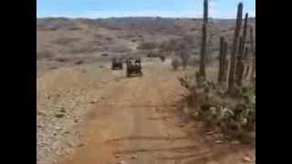 Driving UTVs through Arikok National Park  Aruba [upl. by Sokul]