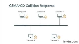 CSMA CD and CSMA CA [upl. by Nnahgiel]