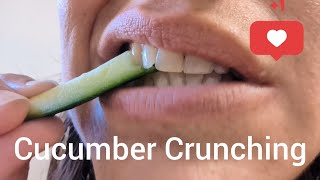 Cucumber Crunching eatingsounds [upl. by Llekcm747]