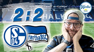 Schalke 04  Hertha BSC 22 ⚽️ Highlights amp Analyse ✅ [upl. by Emmy66]