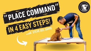 Place Command In 4 Easy Steps [upl. by Lissa7]