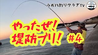 【知多半島】やったぜ！堤防ブリ！の動画です。 [upl. by Forster142]