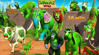 Zombie Animal Farm Diorama Epic Rescue Adventures Compilation  Wild amp Farm Animals [upl. by Demitria559]