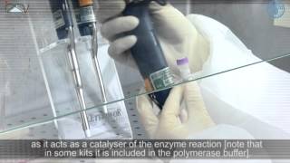 PCR Master Mix preparation and RTPCR [upl. by Nogaem]