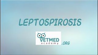 Introduction to Leptospirosis [upl. by Elnore]