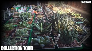 Cactus amp Succulent Collection Tour  April 2019 [upl. by Schnurr795]