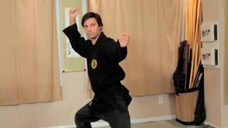 How to Do Basic Budo Taijutsu Postures  Ninjutsu Lessons [upl. by Aynor]