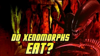 Do Xenomorphs Eat  Explained [upl. by Allerus]