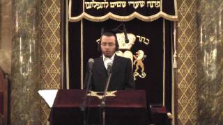 Cantorial Concert Yaakov Yosef Stark Singing quotMisratze Berachamimquot Watch in HD  16 [upl. by Leahcim]