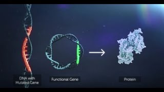 Gene Therapy Explained [upl. by Friedlander]