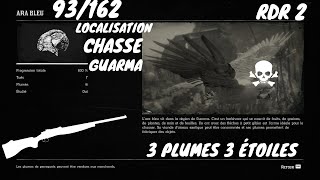 Tout Les Animaux 93162 Le Ara Bleu Localisation Red Dead Redemption 2 [upl. by Dranrev]