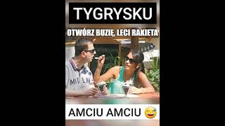 Tygrysek 😂 wicepremier śmiechu warte😂 [upl. by Hiro]