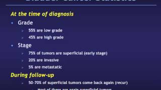 Superficial Bladder Cancer [upl. by Glyn105]