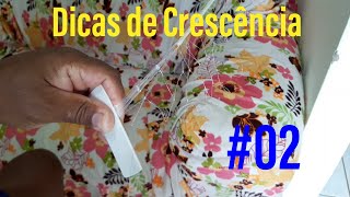 Dicas de Crescência 02 [upl. by Johppa]