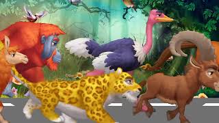 Animal race in the jungle Cartoonickids [upl. by Eneluqcaj]