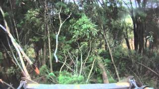 Tree MulchingInside the Cab of Tobiah Tree Mulching Services FAE PT 400 MOV [upl. by Nerrak]